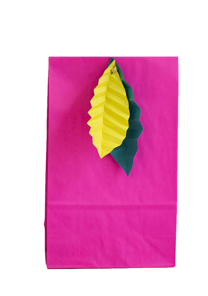 Limited edition Fuschia Summer Party Bags